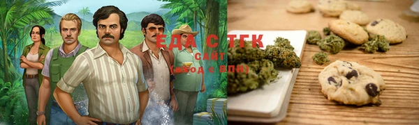 индика Армянск
