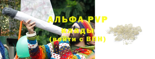 индика Армянск