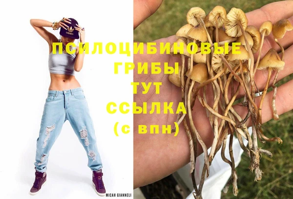 индика Армянск