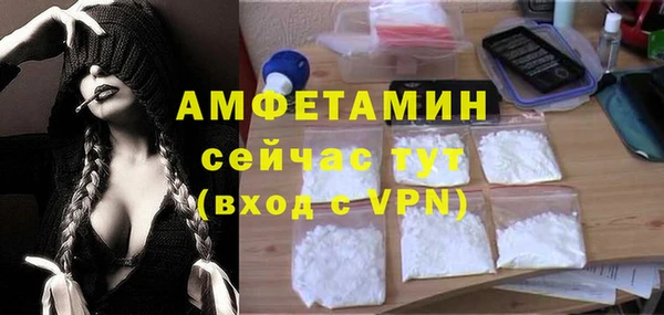 индика Армянск