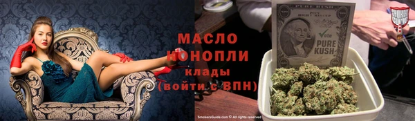 индика Армянск