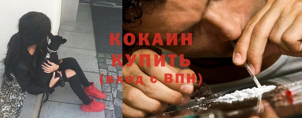 индика Армянск